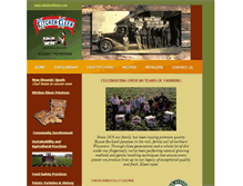 Tablet Screenshot of kitchenkleen.com